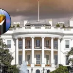 How UFC Conquered Trump's White House: Washington 2026