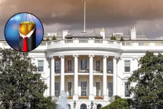 How UFC Conquered Trump's White House: Washington 2026