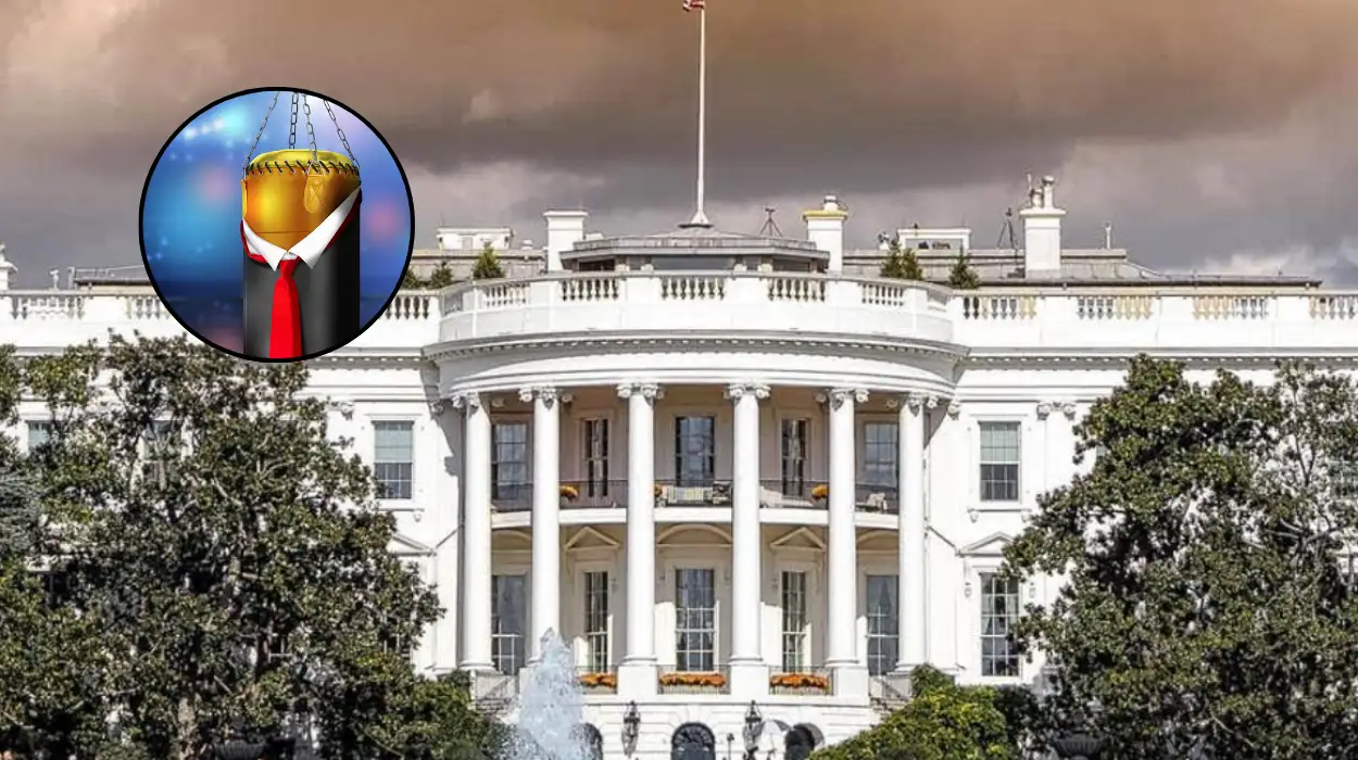 How UFC Conquered Trump's White House: Washington 2026