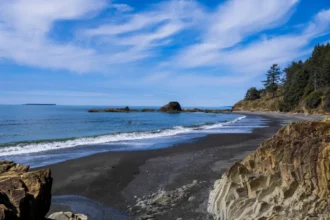Kalaloch Beach Guide: Coastal Beauty in Olympic National Park, Washington