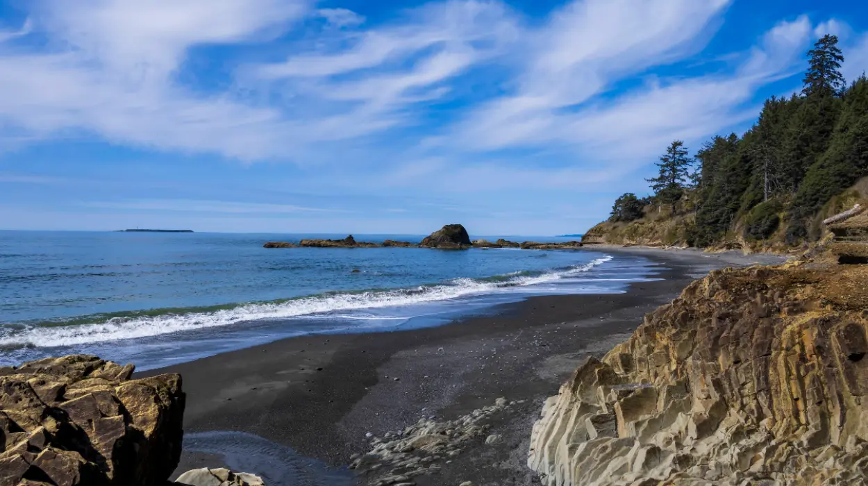Kalaloch Beach Guide: Coastal Beauty in Olympic National Park, Washington