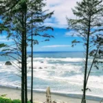 Olympic National Park Hiking Trails for All Skill Levels in Washington