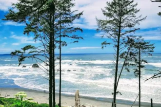 Olympic National Park Hiking Trails for All Skill Levels in Washington