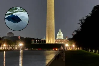 Paint Peels from Trump Reflecting Pool Renovation – Washington, DC 2026