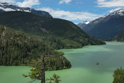 Ross Lake National Recreation Area Travel Guide for Washington Visitors