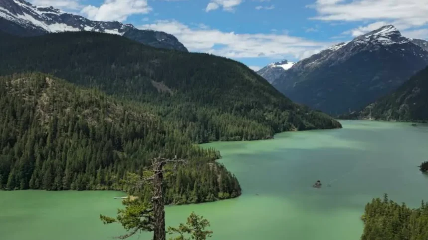 Ross Lake National Recreation Area Travel Guide for Washington Visitors
