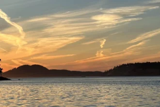 San Juan Island Road Trip Guide for First-Time Visitors