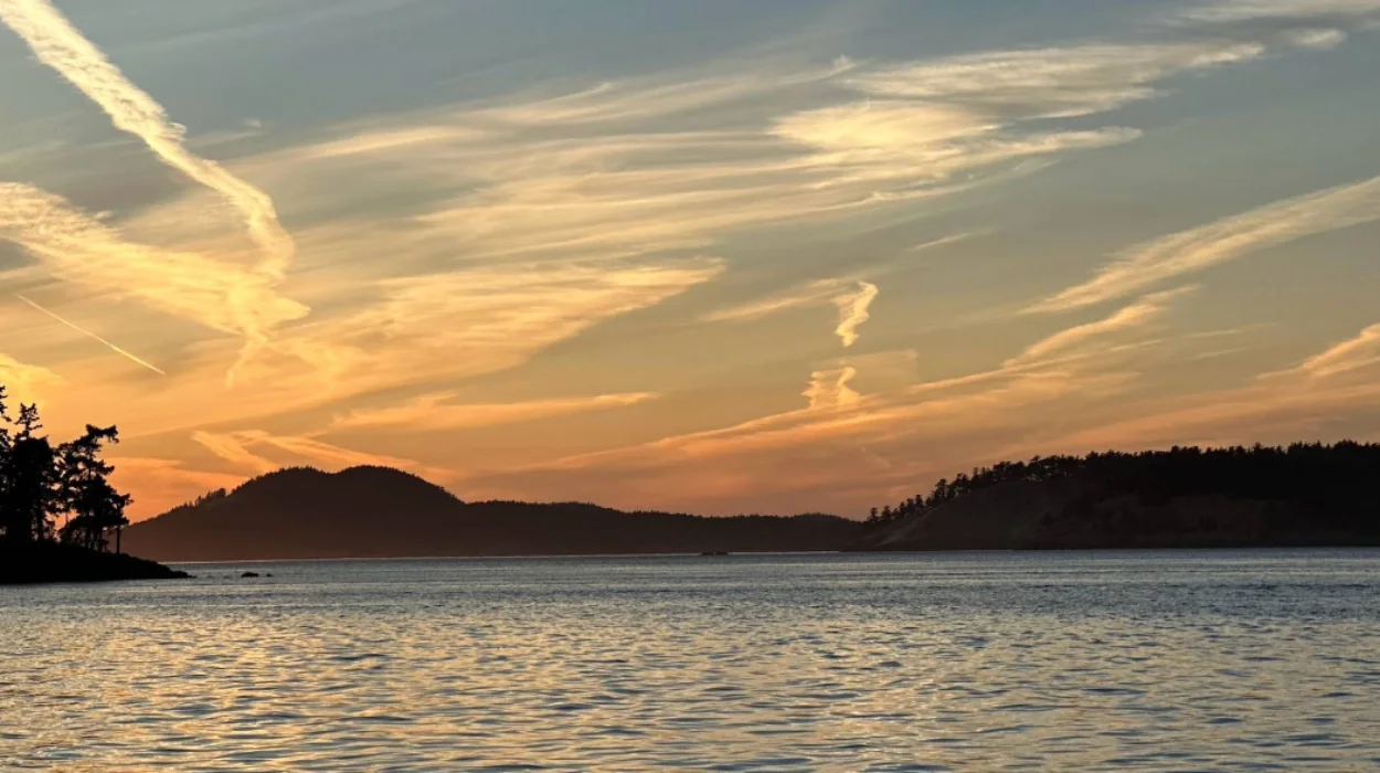 San Juan Island Road Trip Guide for First-Time Visitors