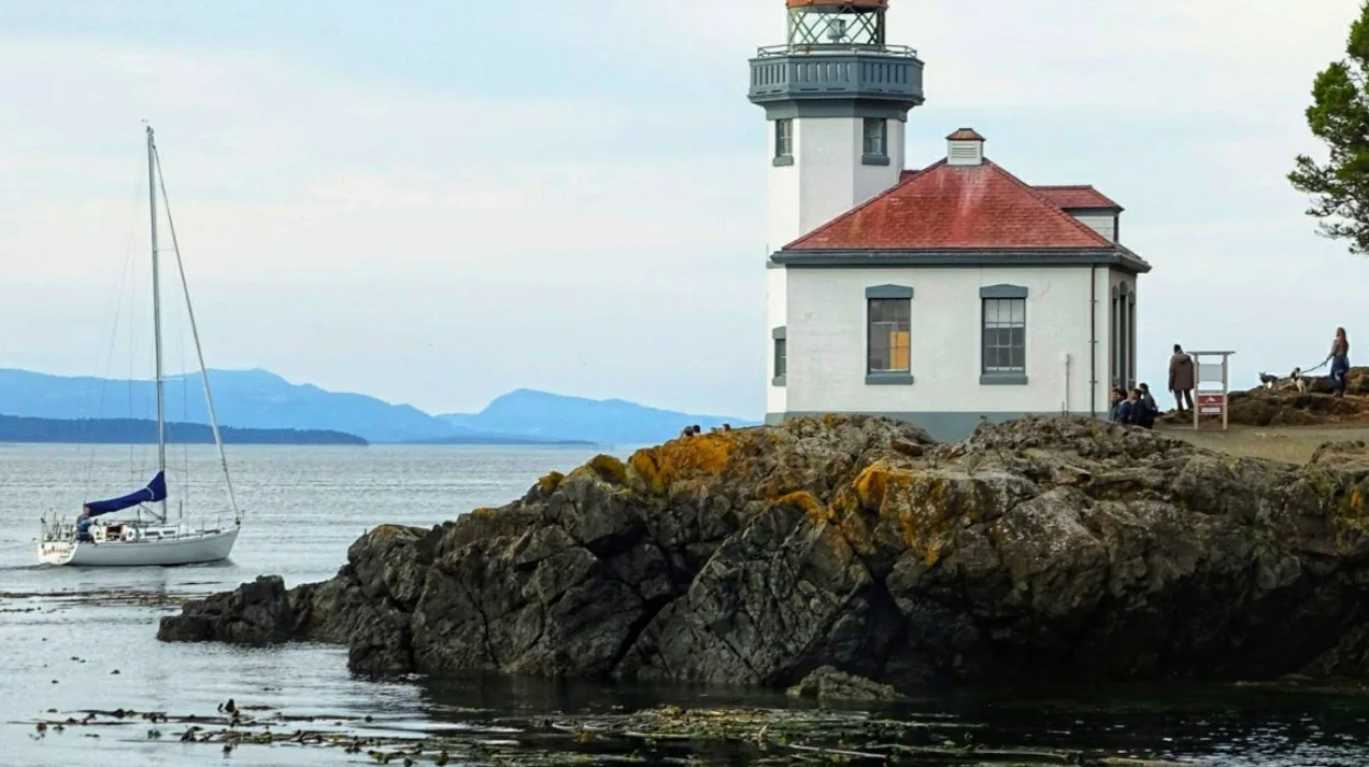 San Juan Islands Ferry Guide: Routes Schedules Fares and Travel Tips for Visitors