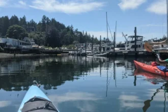 San Juan Islands Kayaking Guide for Beginners in Washington State