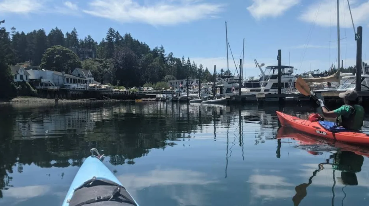 San Juan Islands Kayaking Guide for Beginners in Washington State