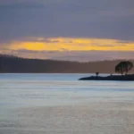 San Juan Islands Washington Whale Watching Guide: Best Trips, Tours & Tips