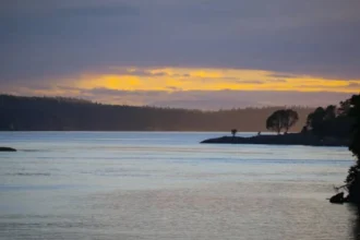 San Juan Islands Washington Whale Watching Guide: Best Trips, Tours & Tips