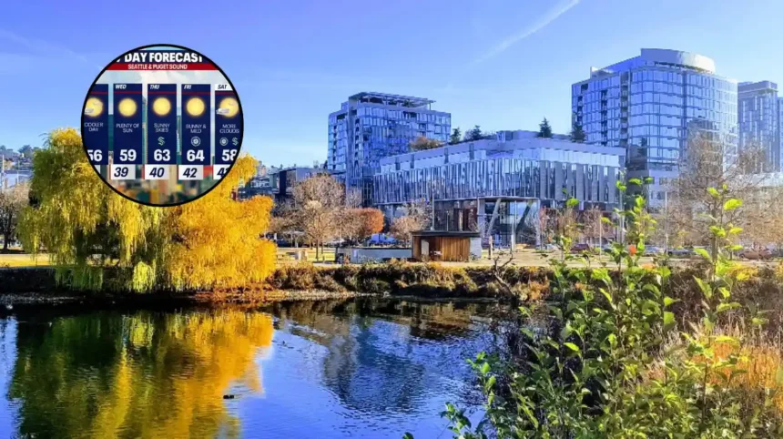 Seattle Weather: Warm Sunny Forecast for 2026
