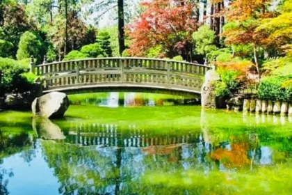 Spokane Historic District Guide: A Complete Architectural and Cultural Overview