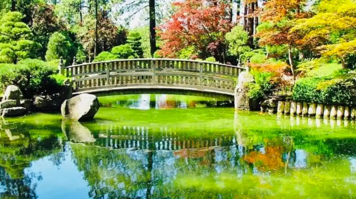 Spokane Historic District Guide: A Complete Architectural and Cultural Overview