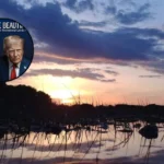 Trump National Parks Pass Sparks Dispute: Washington 2026