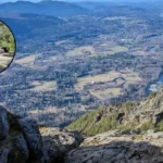 Two Teens Injured in Mount Si Black Bear Attack 2026; North Bend