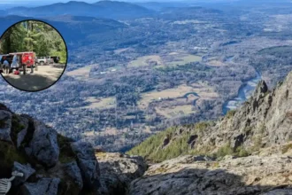 Two Teens Injured in Mount Si Black Bear Attack 2026; North Bend