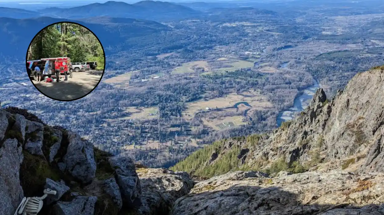 Two Teens Injured in Mount Si Black Bear Attack 2026; North Bend