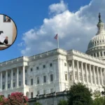 US and Iran Sign Historic Peace Memorandum: Geneva 2026