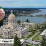 Washington Salmonella Outbreak: Don't Kiss Chickens, 2026