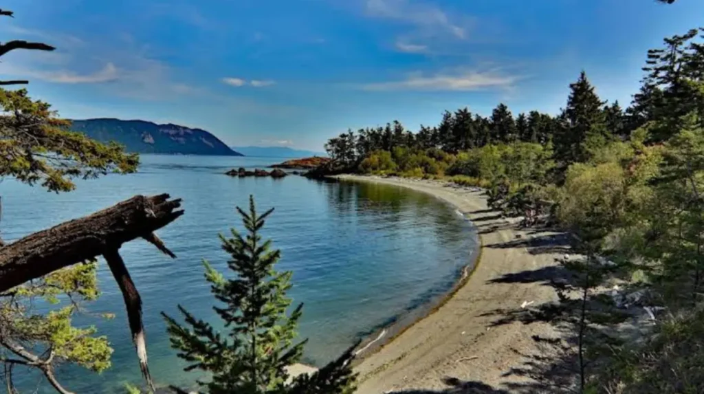 What Are the San Juan Islands and Why Are They Famous for Whale Watching?