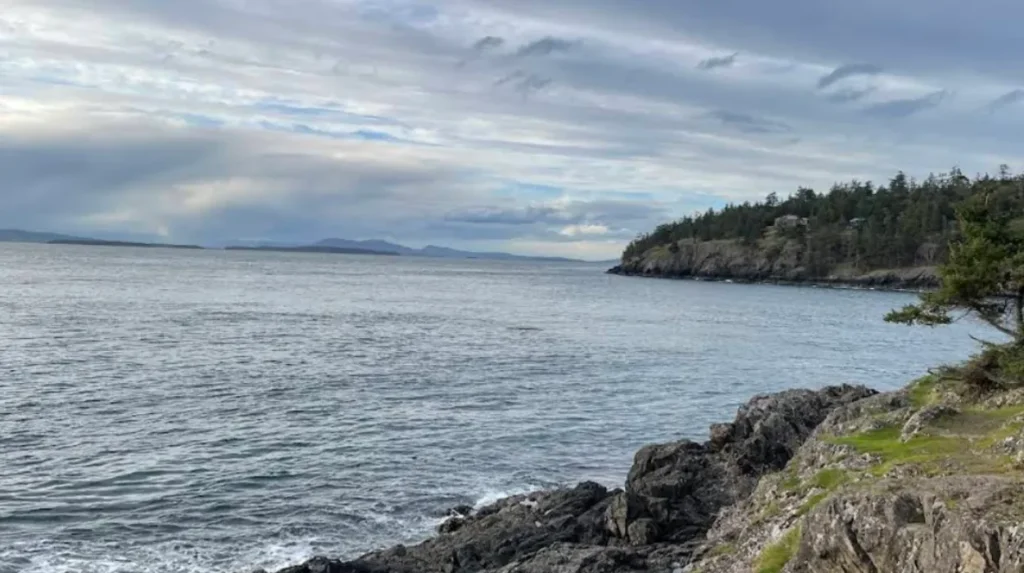 What Is San Juan Island and Why Should You Visit It?