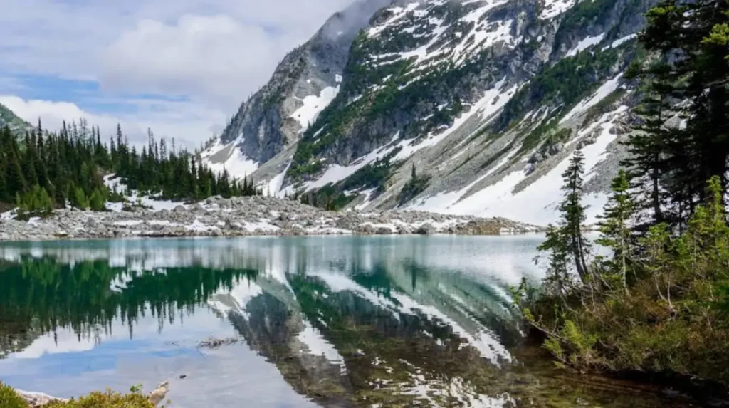 What Is the Ecological Significance of the North Cascades Ecosystem?