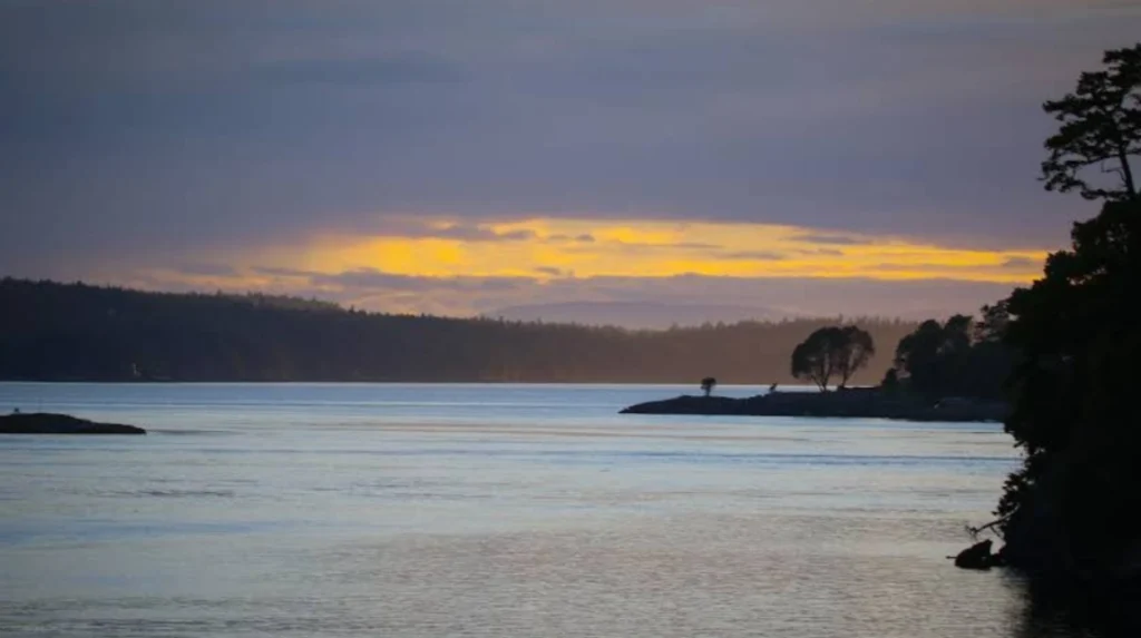 What Is the History Behind San Juan Island's American and English Camps?