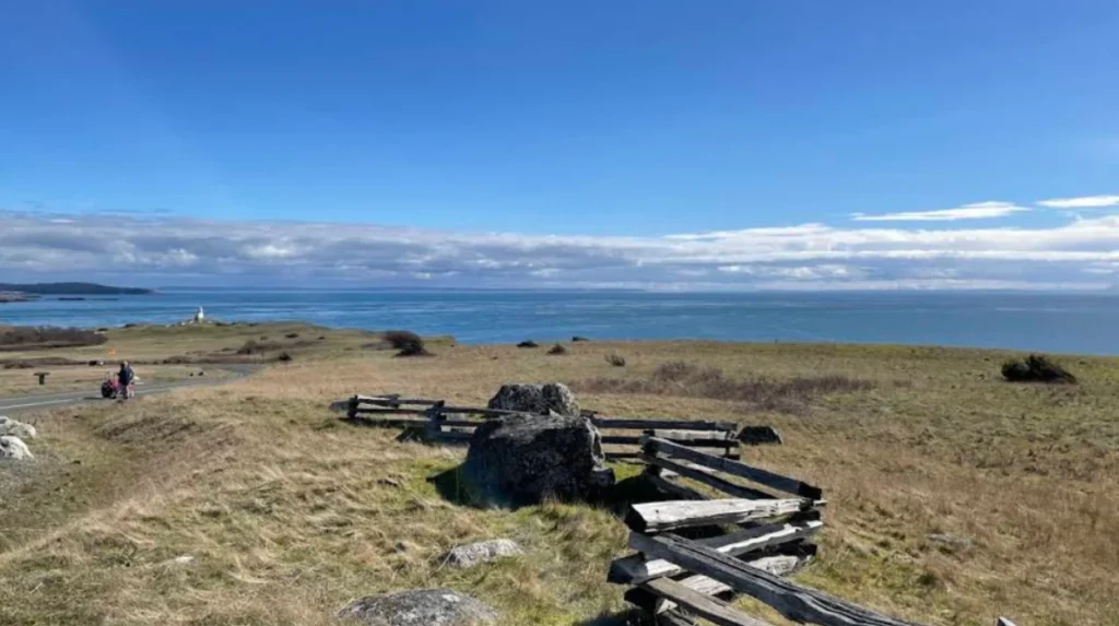 What Makes Washington State One of the Best Places for Whale Watching?
