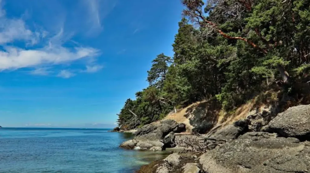 What Should You Know About Land-Based Whale Watching in Washington?