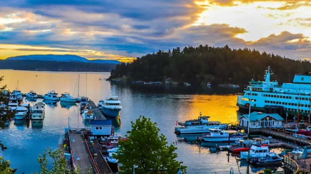 What is Friday Harbor and why visit San Juan Island?