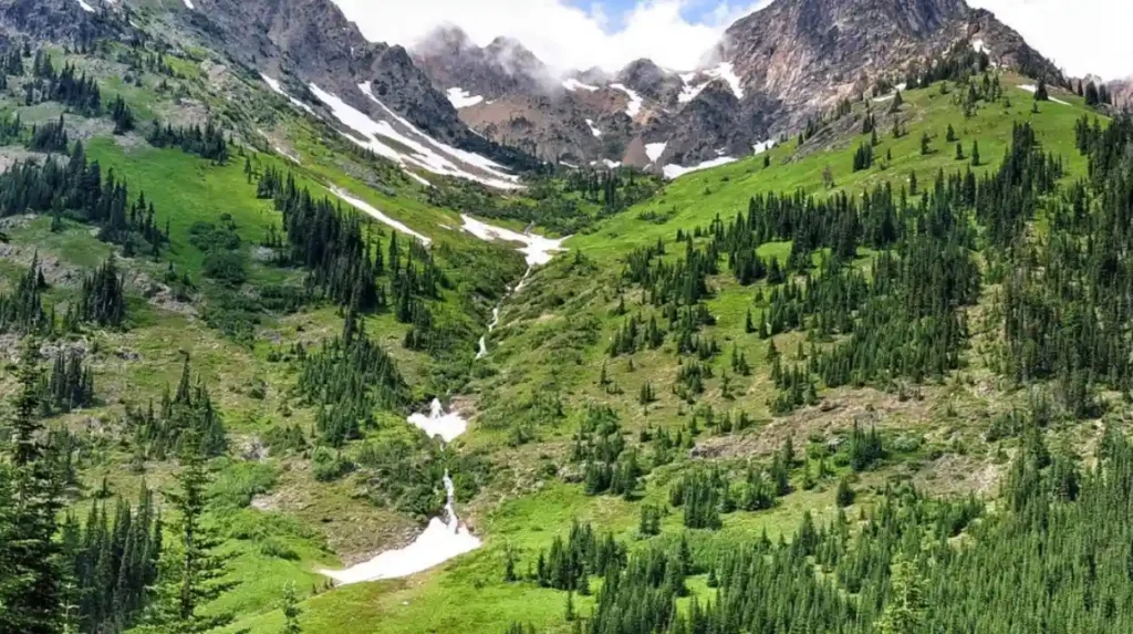 What is the history of the North Cascades National Park trail system?