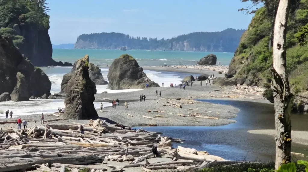 When Is the Best Time of Year to Hike Different Trails in Olympic National Park?