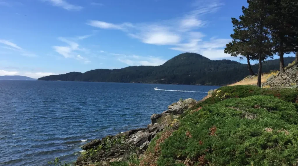 When Is the Best Time to Visit San Juan Islands Beaches?