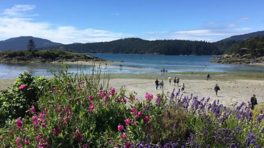 Why does it matter for Washington travelers?