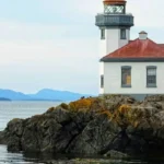 Wildlife Viewing in San Juan Islands: Ultimate Washington Travel Guide for Orcas
