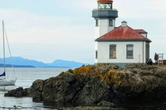 Wildlife Viewing in San Juan Islands: Ultimate Washington Travel Guide for Orcas