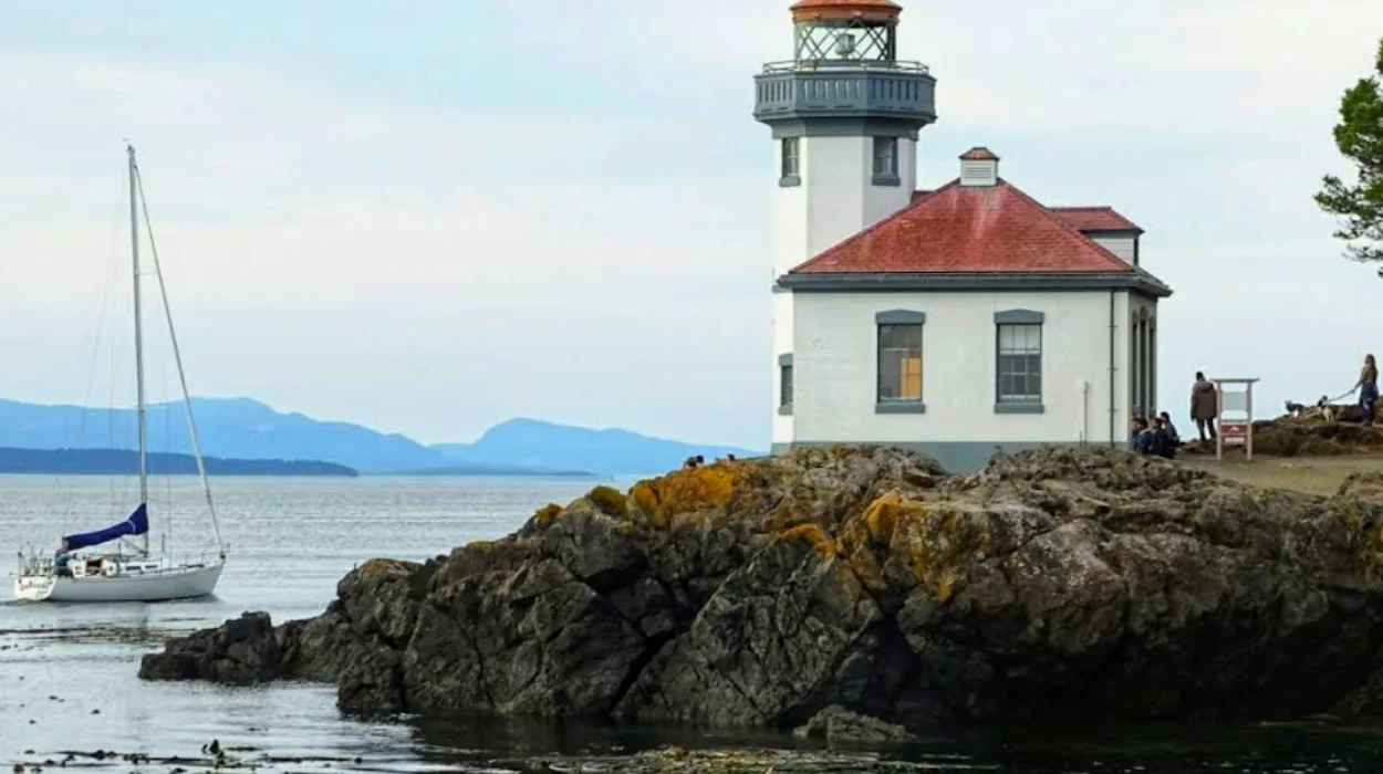 Wildlife Viewing in San Juan Islands: Ultimate Washington Travel Guide for Orcas