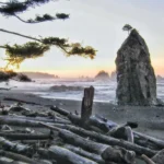 3-Day Olympic Peninsula Road Trip Itinerary for Washington Travelers