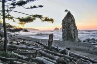 3-Day Olympic Peninsula Road Trip Itinerary for Washington Travelers