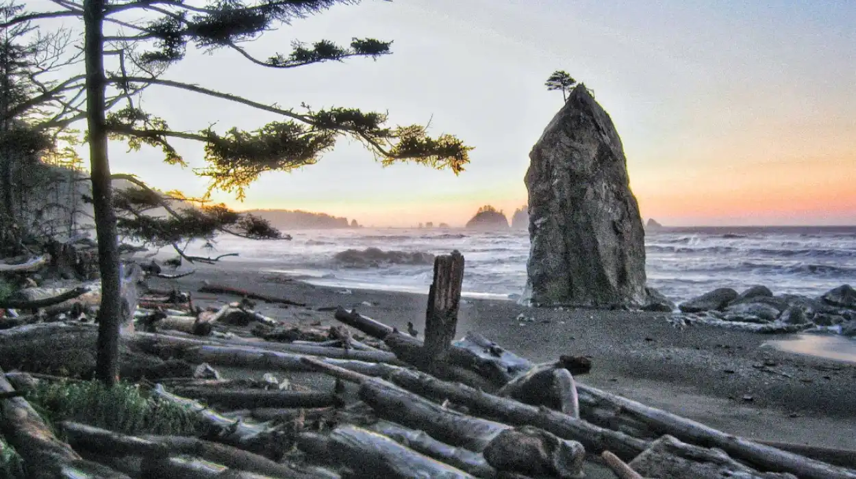 3-Day Olympic Peninsula Road Trip Itinerary for Washington Travelers