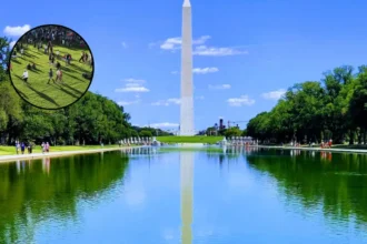 America 250 Heatwave Shuts Down National Mall Events Washington DC 2026