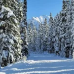 Best Washington State Road Trips for Scenic Views