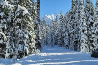 Best Washington State Road Trips for Scenic Views