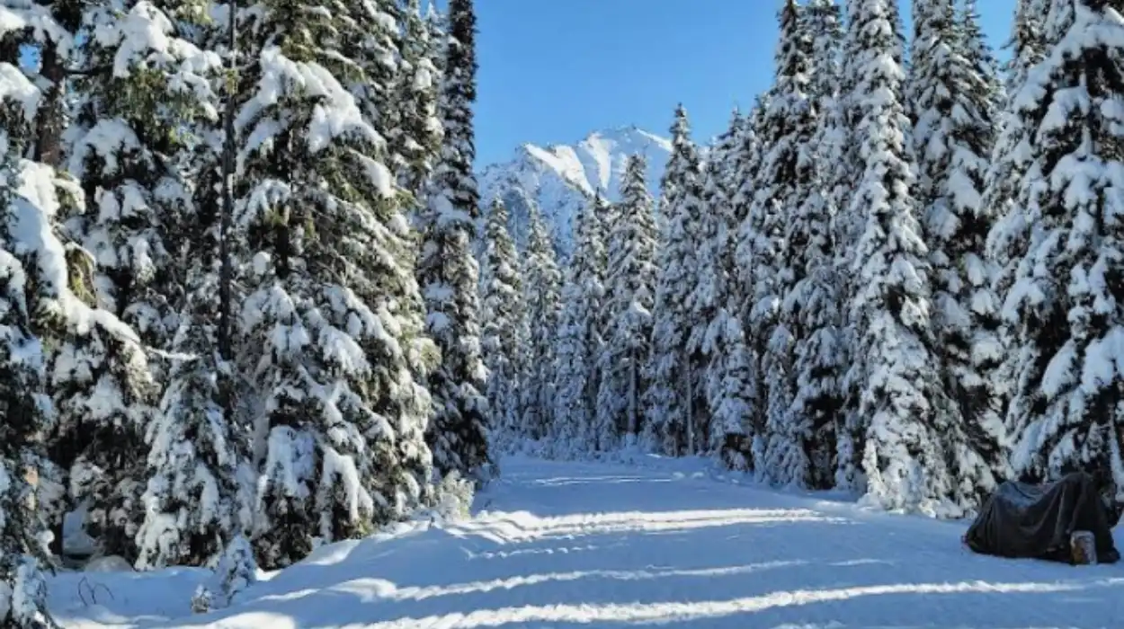 Best Washington State Road Trips for Scenic Views