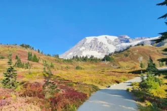 Best Weekend Road Trips from Seattle, Washington