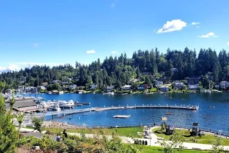 Discover Best Quiet Nature Spots Near Seattle To Escape The Crowded City
