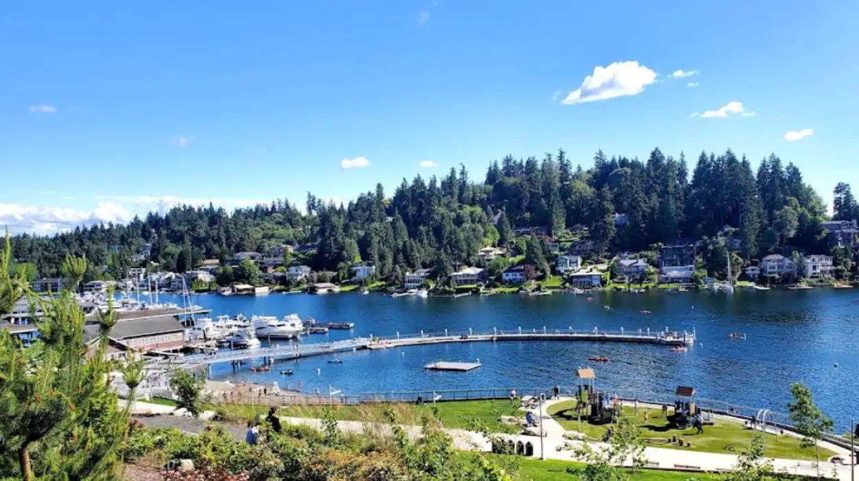 Discover Best Quiet Nature Spots Near Seattle To Escape The Crowded City